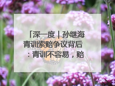 深一度｜孙继海青训索赔争议背后：青训不容易，赔偿可仲裁