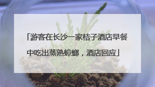 游客在长沙一家桔子酒店早餐中吃出蒸熟蟑螂，酒店回应