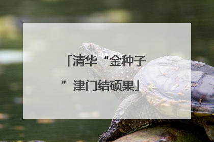 清华“金种子”津门结硕果