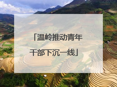 温岭推动青年干部下沉一线
