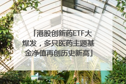 港股创新药ETF大爆发，多只医药主题基金净值再创历史新高
