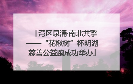 湾区泉涌·南北共擎——“花楸树”杯明湖慈善公益跑成功举办
