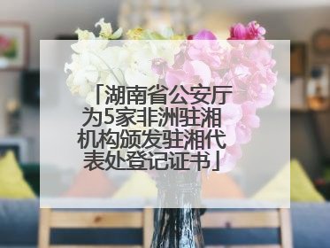 湖南省公安厅为5家非洲驻湘机构颁发驻湘代表处登记证书