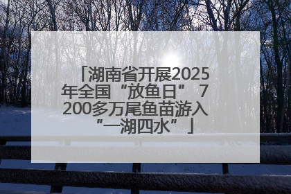湖南省开展2025年全国“放鱼日” 7200多万尾鱼苗游入“一湖四水”
