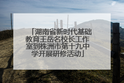 湖南省新时代基础教育王岳名校长工作室到株洲市第十九中学开展研修活动