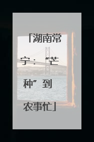 湖南常宁：“芒种”到 农事忙