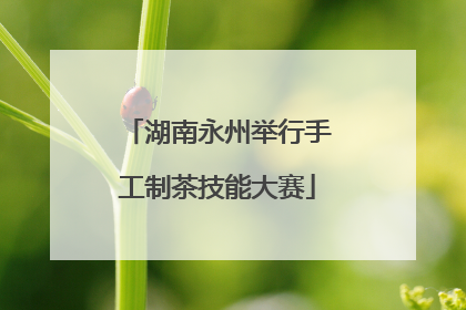 湖南永州举行手工制茶技能大赛