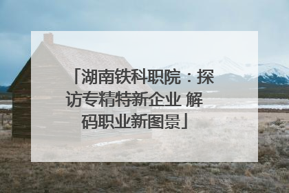 湖南铁科职院：探访专精特新企业 解码职业新图景