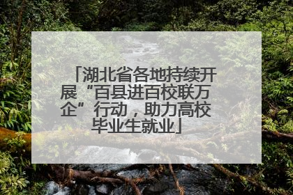 湖北省各地持续开展“百县进百校联万企”行动，助力高校毕业生就业