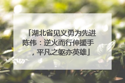 湖北省见义勇为先进陈伟：逆火而行伸援手，平凡之躯亦英雄