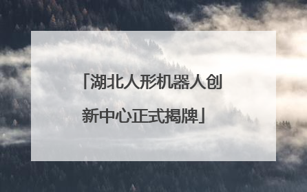 湖北人形机器人创新中心正式揭牌