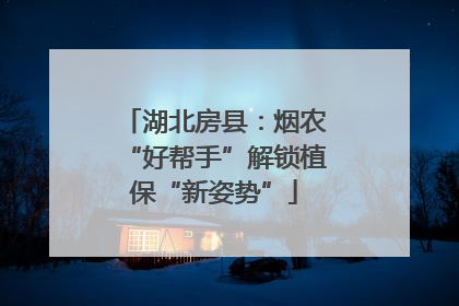 湖北房县：烟农“好帮手”解锁植保“新姿势”