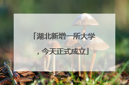 湖北新增一所大学，今天正式成立