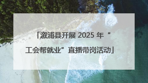 溆浦县开展 2025 年“工会帮就业”直播带岗活动