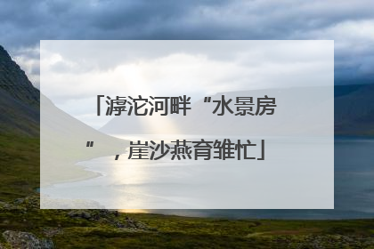 滹沱河畔“水景房”，崖沙燕育雏忙