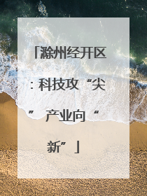 滁州经开区：科技攻“尖” 产业向“新”