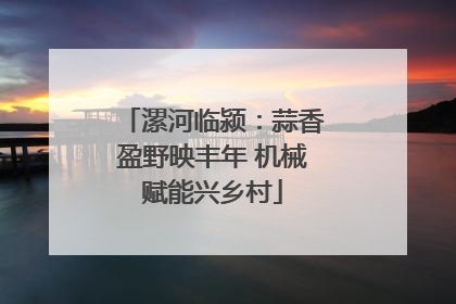 漯河临颍：蒜香盈野映丰年 机械赋能兴乡村