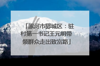 漯河市郾城区：驻村第一书记王元明带领群众走出致富路