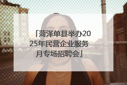 菏泽单县举办2025年民营企业服务月专场招聘会