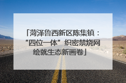 菏泽鲁西新区陈集镇：“四位一体”织密禁烧网 绘就生态新画卷