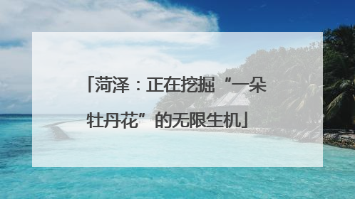 菏泽：正在挖掘“一朵牡丹花”的无限生机