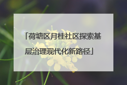 荷塘区月桂社区探索基层治理现代化新路径