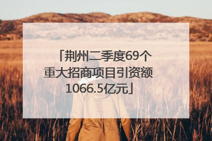 荆州二季度69个重大招商项目引资额1066.5亿元