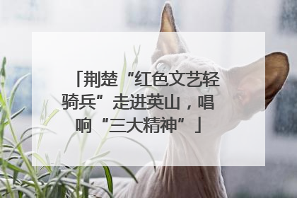 荆楚“红色文艺轻骑兵”走进英山，唱响“三大精神”