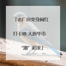老厂房变身网红打卡地 大唐华市“潮”起来