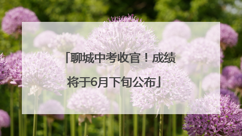 聊城中考收官！成绩将于6月下旬公布