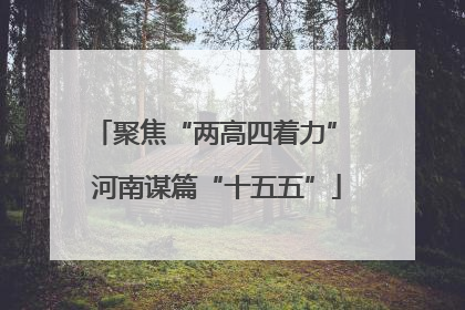 聚焦“两高四着力” 河南谋篇“十五五”
