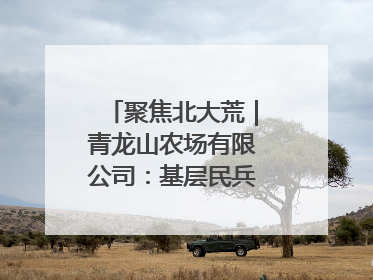 聚焦北大荒｜青龙山农场有限公司：基层民兵参与农业环境综合治理显效