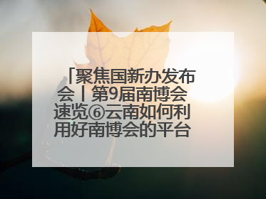 聚焦国新办发布会丨第9届南博会速览⑥云南如何利用好南博会的平台带动作用，深化与南亚国家的交流与合作？