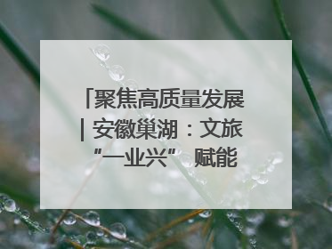 聚焦高质量发展｜安徽巢湖：文旅“一业兴” 赋能“百业旺”