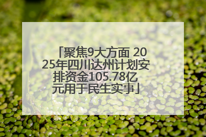 聚焦9大方面 2025年四川达州计划安排资金105.78亿元用于民生实事