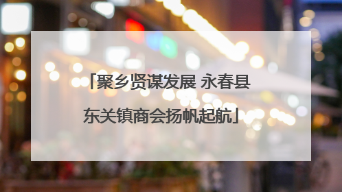 聚乡贤谋发展 永春县东关镇商会扬帆起航