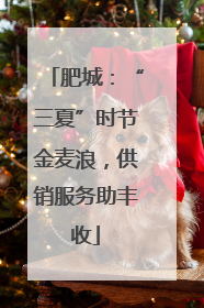 肥城：“三夏”时节金麦浪，供销服务助丰收