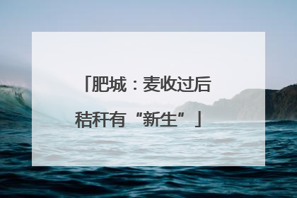 肥城：麦收过后秸秆有“新生”