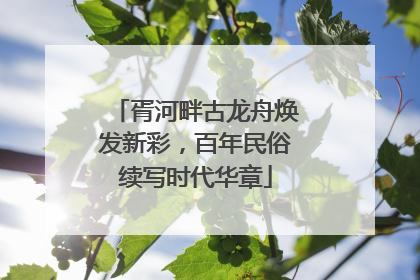 胥河畔古龙舟焕发新彩，百年民俗续写时代华章