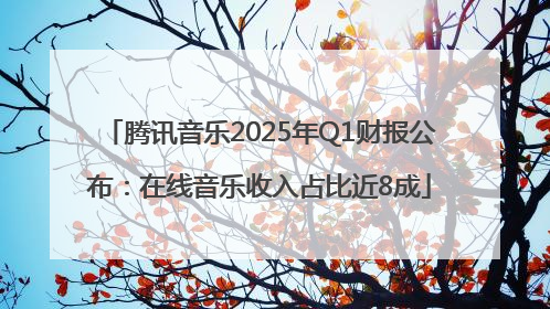 腾讯音乐2025年Q1财报公布：在线音乐收入占比近8成