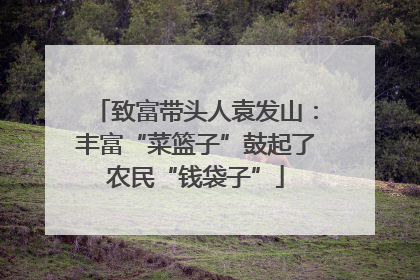 致富带头人袁发山：丰富“菜篮子”鼓起了农民“钱袋子”
