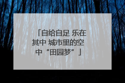 自给自足 乐在其中 城市里的空中“田园梦”