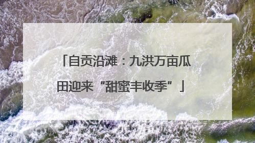 自贡沿滩：九洪万亩瓜田迎来“甜蜜丰收季”