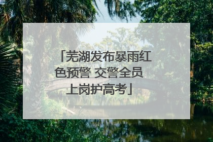 芜湖发布暴雨红色预警 交警全员上岗护高考