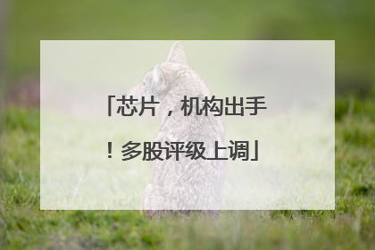 芯片，机构出手！多股评级上调