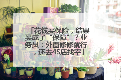 花钱买保险，结果买成了“保障”？业务员：外面修修就行，还去4S店找宰