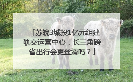 苏皖3城投1亿元组建轨交运营中心，长三角跨省出行会更丝滑吗？