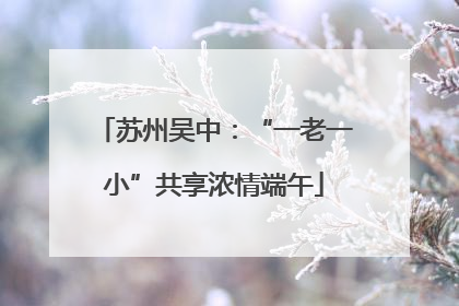 苏州吴中：“一老一小”共享浓情端午