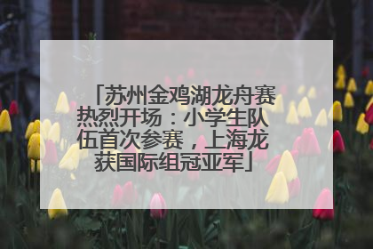 苏州金鸡湖龙舟赛热烈开场：小学生队伍首次参赛，上海龙获国际组冠亚军