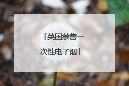英国禁售一次性电子烟